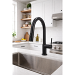 Imagen de Grifería de Cocina Monocomando de mesada Eon Curvo Extensible Negro Mate